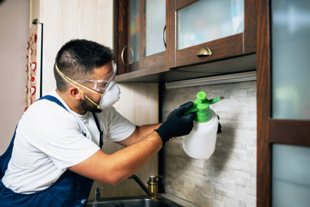 Best Mosquito Control Services  in Stagecoach, NV