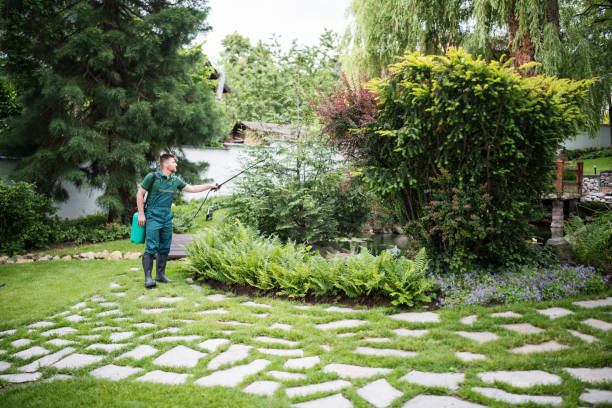 Best Best Pest Control Companies  in Stagecoach, NV