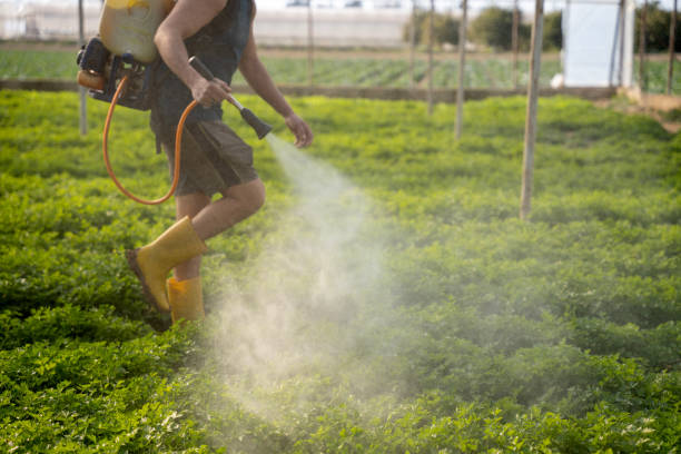 Best Pest Removal Services  in Stagecoach, NV