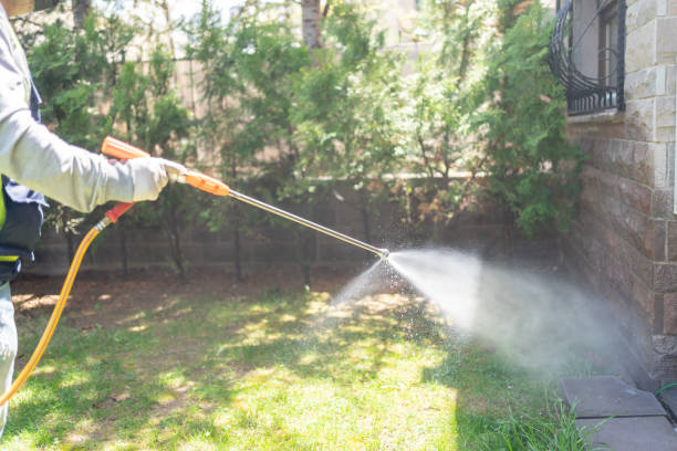 Best Pest Control for Businesses  in Stagecoach, NV