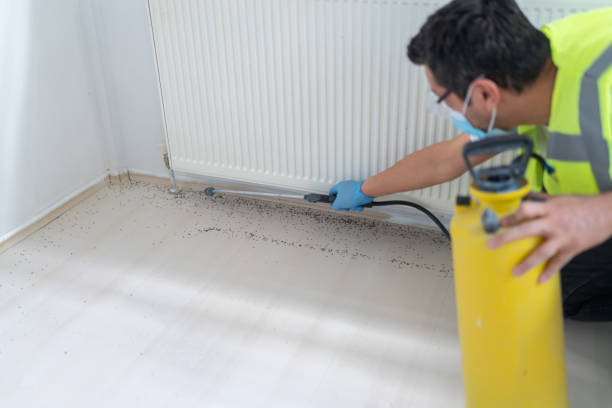 Best Pest Prevention Services  in Stagecoach, NV