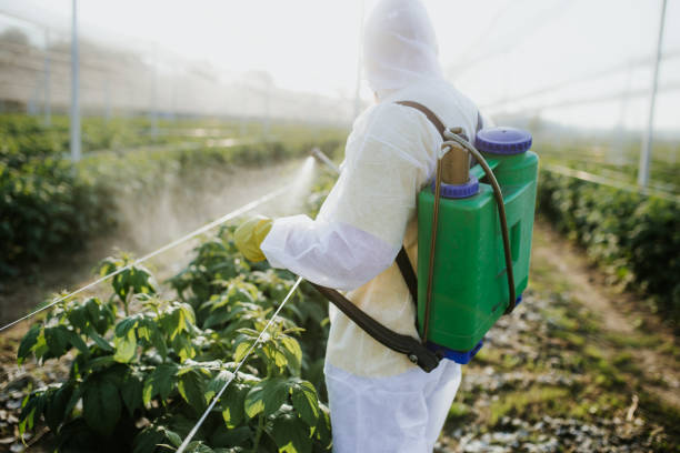 Reliable Stagecoach, NV Pest Control Solutions
